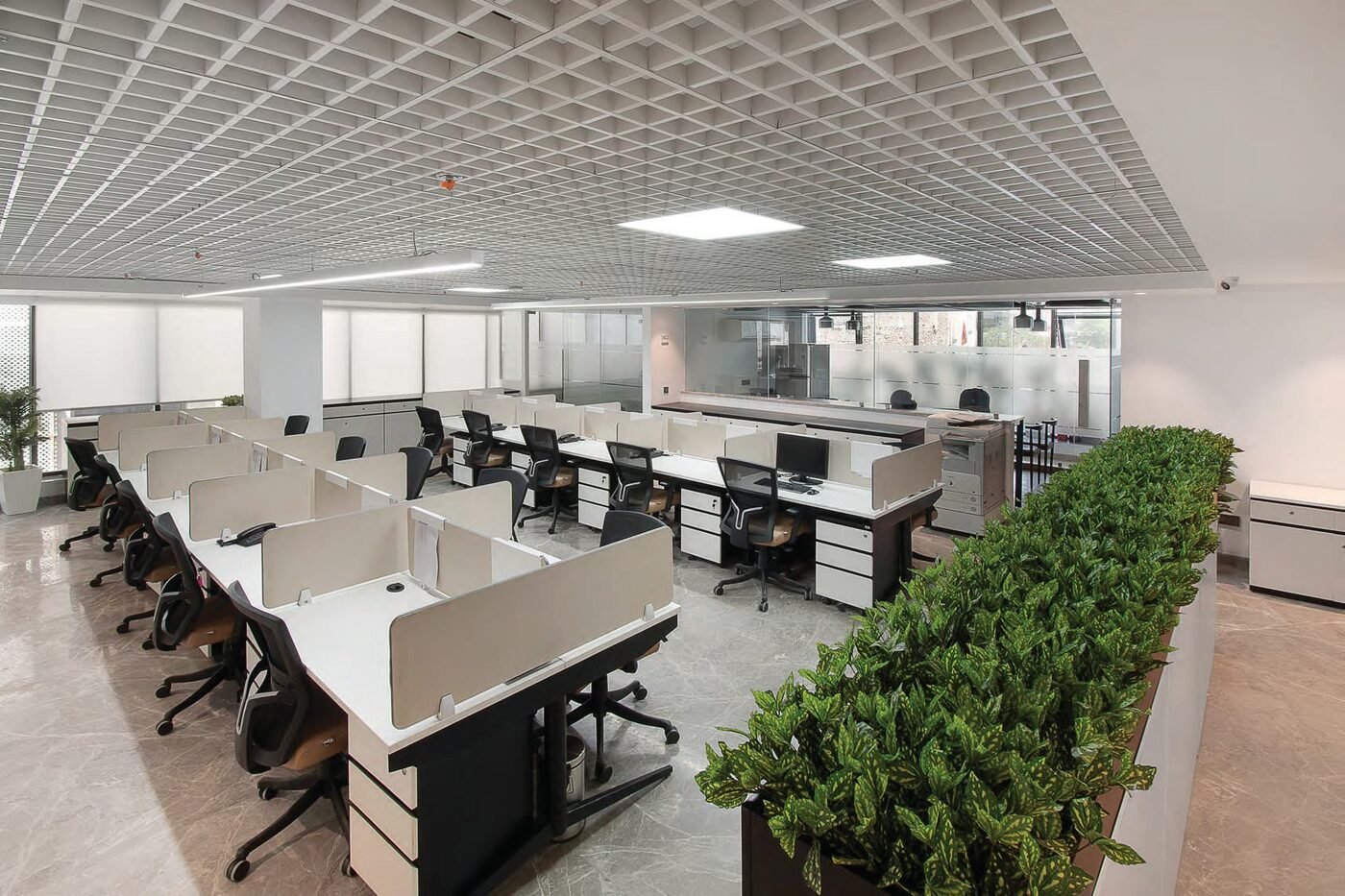 Open-plan workstation floor with greenery dividers